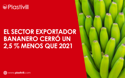 El sector exportador bananero cerró 2021 con el envío de 376 millones de cajas, un 2,5 % menos que 2020